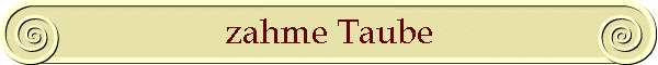 zahme Taube
